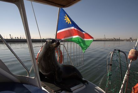 Familienurlaub Namibia - Namibia mit Teenagern - Robbe auf Schiff