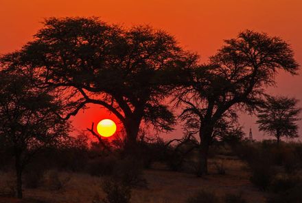 Botswana Familienreise - Botswana for family individuell - Kalahari Sonnenuntergang