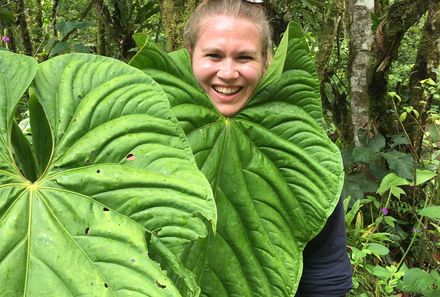Costa Rica mit Jugendlichen - Costa Rica Family & Teens - Reisende vor großer Pflanze