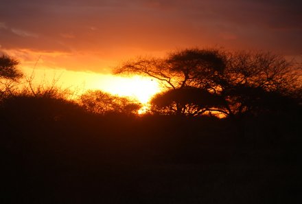 Kenia Familienreise - Kenia for family - Ziwani Schutzgebiet Nachtsafari