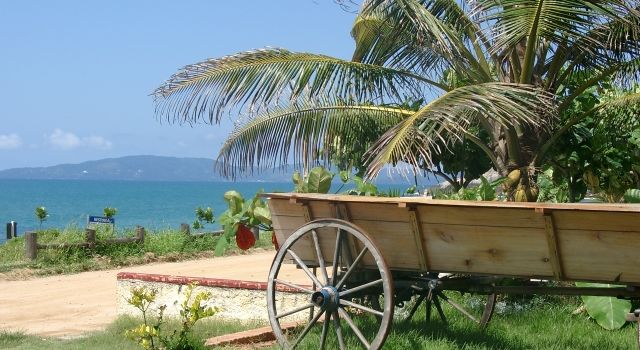 Reisebericht Brasilien - Meer und Palmen