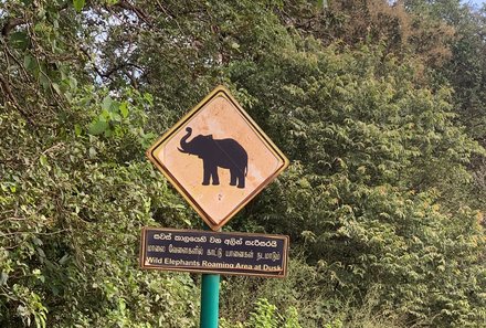 Sri Lanka for family individuell - Sri Lanka Individualreise mit Kindern - Schild