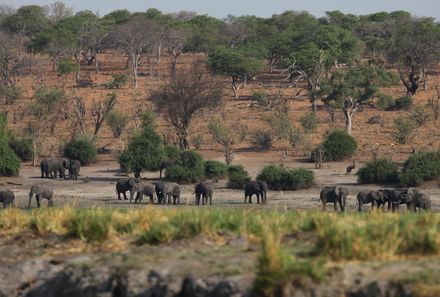 Botswana Familienreise - Botswana for family individuell - Chobe Nationalpark Safari