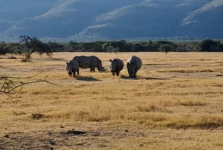 Namibia mit Jugendlichen - Gruppe von Breitmaulnashörner im Mahango Game Reserve - Otjiwarongo