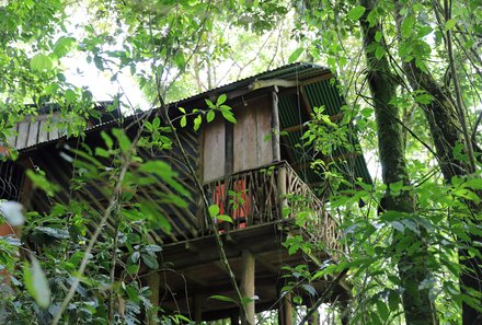 Costa Rica Familienreise - Costa Rica for family - La Tigra Regenwaldlodge - Baumhaus