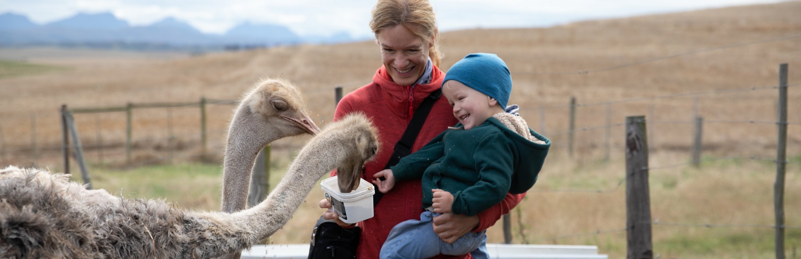 Urlaub mit Kleinkind - Reisen mit Kleinkindern - Fernreise mit Kleinkind - Südafrika Oudtshoorn - Mutter und Sohn füttern Strauß