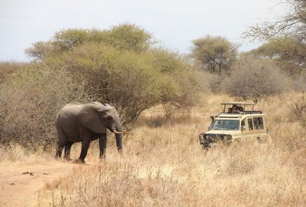 Tansania Familienreise - Tansania for family individuell - Safari im Tarangire Nationalpark