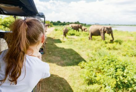Sri Lanka Sommerurlaub mit Kindern - Mädchen beobachtet Elefanten aus Jeep