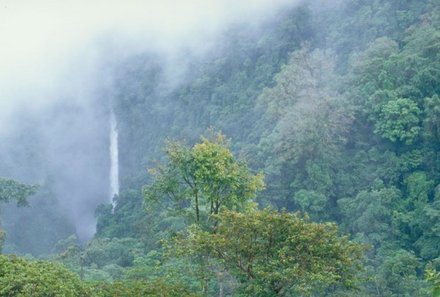 Familienreise Costa Rica individuell - Nebelwald Monteverde