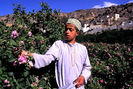 Familienurlaub Oman - Oman for family - Farmer pflückt Blumen