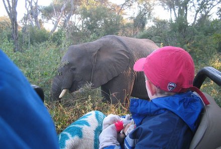 Familienreise Südafrika - Südafrika for family - Makutsi Safari Farm - Elefant