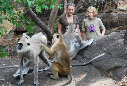 Sri Lanka Sommerurlaub mit Kindern - Familie beobachtet Affen
