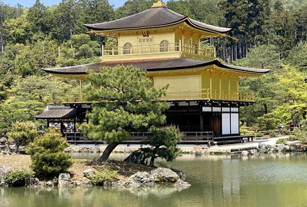 Japan mit Kindern  - Japan for family - Goldener Tempel Kyoto von Außen