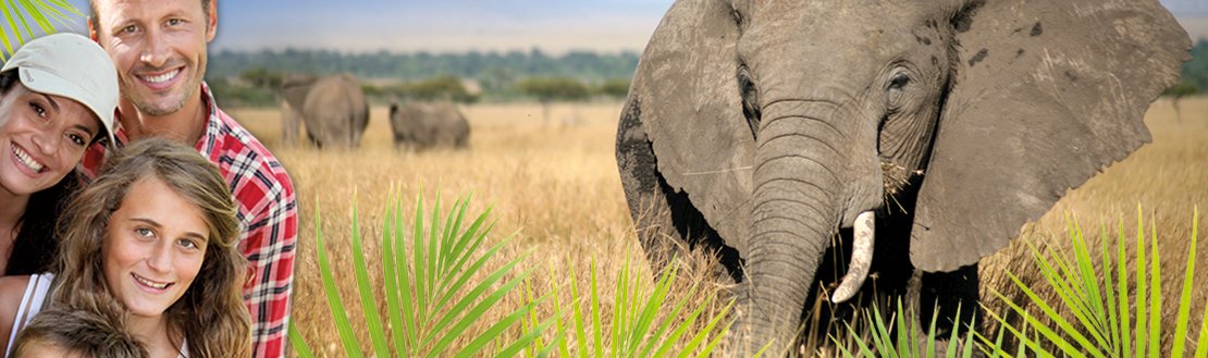 Safari mit Kindern - Familiensafari - Elefant