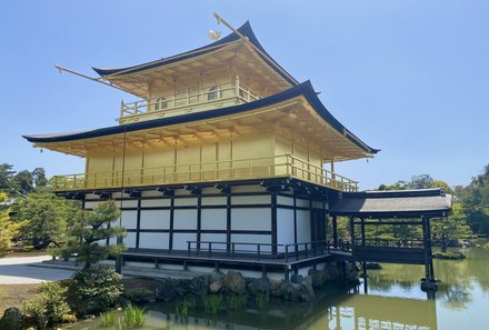 Japan mit Kindern  - Japan for family - Goldener Tempel Kyoto