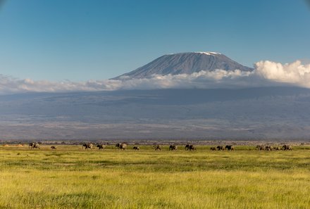Kenia Familienreise - Kenia for family - Blick auf den Kilimanjaro