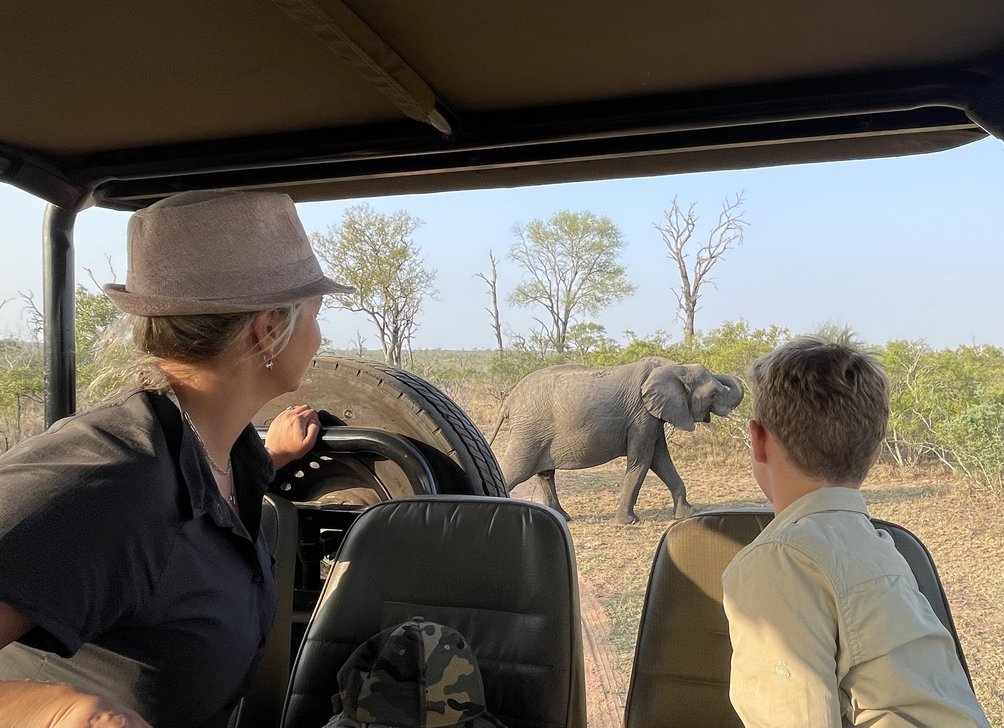 Safari mit Kindern - Familiensafari - Südafrika Krüger Nationalpark