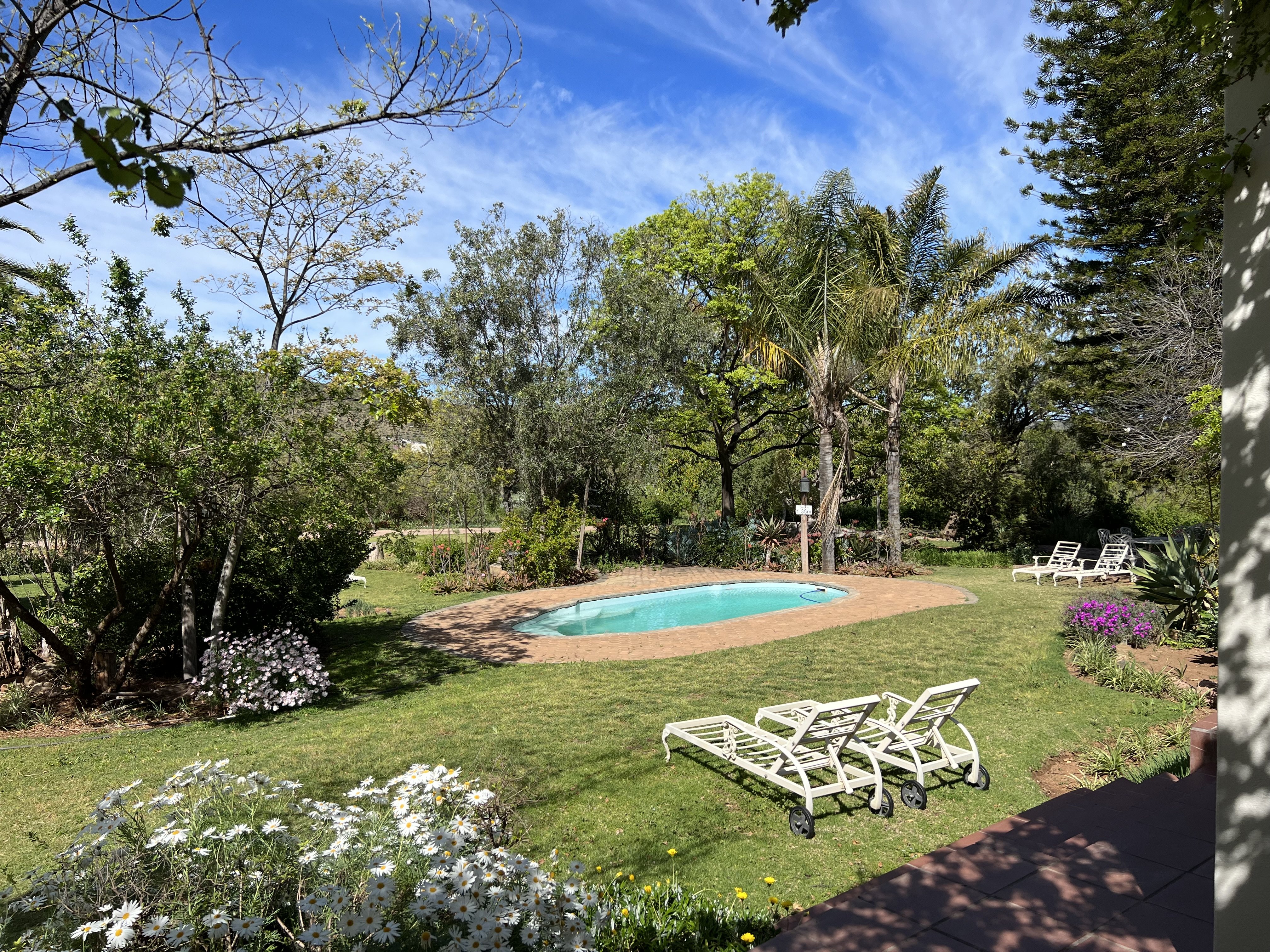 Südafrika Safari Lodges mit Kindern - Familienfreundliche Unterkünfte Garden Route - Berluda Farm House - Oudtshoorn - Pool