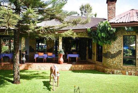 Tansania Familienreise - Tansania fo r family - Bougainvillea Safari Lodge - Cottage