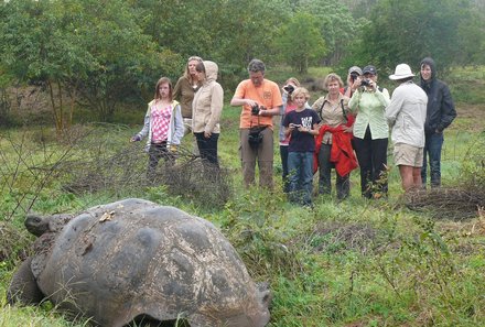 Galapagos mit Jugendlichen - Reisebericht über Galapagos - Riesenschildkröte