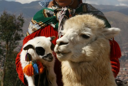 Peru Familienreise - Peru Teens on Tour - Einheimische mit Tieren