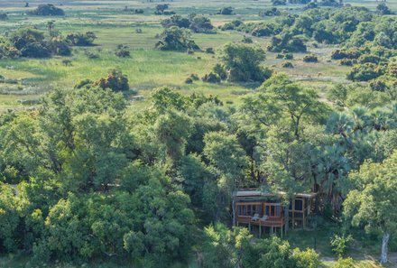 Botswana Fly-In-Safari individuell - Camp Okavango - Umgebung