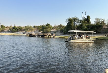 Namibia & Botswana mit Jugendlichen - Namibia & Botswana Family & Teens - Bootsfahrt am Chobe Fluss