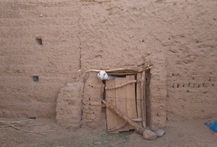 Marokko mit Kinder - Reisebericht Marokko mit Kindern - Ziege in der Wüste